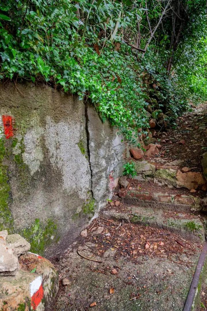 Rifugio Sul Lago Di Lugano A ปอร์โต เซเรซิโอ ภายนอก รูปภาพ